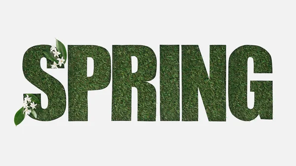 Widok Góry Wyciętym Napisem Wiosna Tle Zielonej Trawy Kwiatów Liści — Zdjęcie stockowe