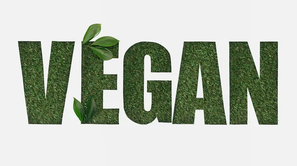 Vista Superior Cortar Letras Vegan Fundo Grama Verde Com Folhas — Fotografia de Stock