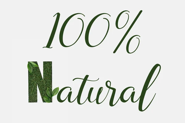 Vista Superior Letras 100 Naturais Com Folhas Verdes Isoladas Branco — Fotografia de Stock