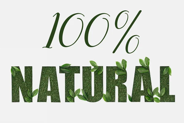 100 天然字母的最高视图与绿色新鲜的叶子隔离在白色 — 图库照片