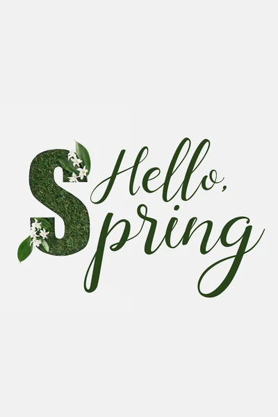 Top View Hello Spring Lettering Green Fresh Leaves Flowers Isolated — Stock Photo, Image