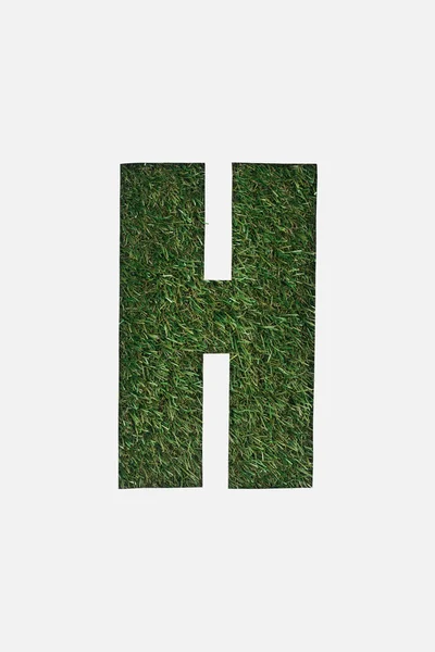 Top View Cut Out Letter Green Grass Background Isolated White — Stock Photo, Image