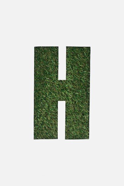 top view of cut out H letter on green grass background isolated on white