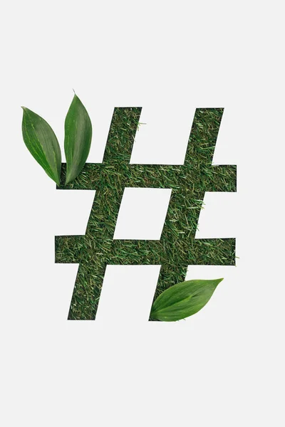 Draufsicht Auf Ausgeschnittenes Hashtag Zeichen Auf Grünem Gras Hintergrund Mit — Stockfoto