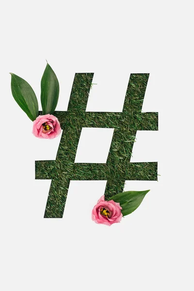 Top View Cut Out Hashtag Sign Green Grass Background Leaves — Stock Photo, Image