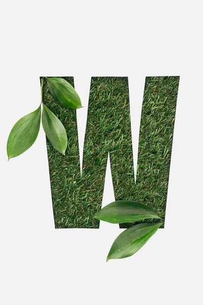 Top View Cut Out Letter Green Grass Background Leaves Isolated — Stock Photo, Image
