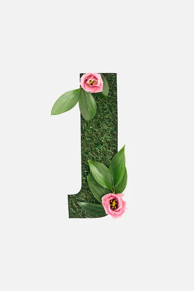 緑の草の葉とピンクの花が白で隔離背景に の文字をカットのトップ ビュー — ストック写真