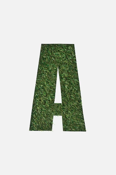 Top View Cut Out Letter Green Grass Background Isolated White — Stock Photo, Image