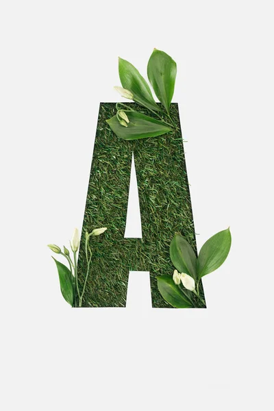 Top View Cut Out Letter Green Grass Background Leaves Flowers — Stock Photo, Image