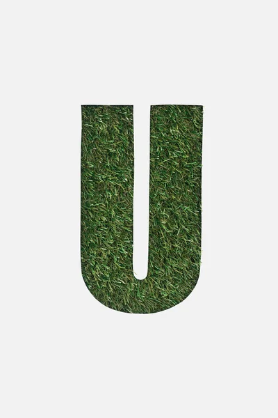 Верхний Вид Вырезанной Буквы Зеленом Фоне Травы Изолированы Белом — стоковое фото