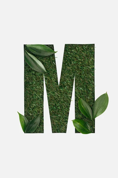 Top View Cut Out Letter Green Grass Background Leaves Isolated — Stock Photo, Image