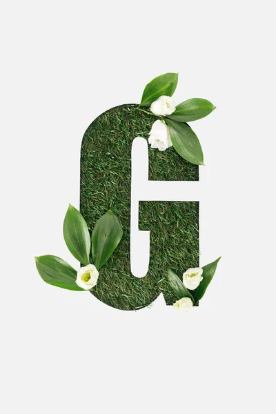 在绿草背景上剪出 字母的顶部视图 叶子和白色的花在白色上被隔绝 — 图库照片