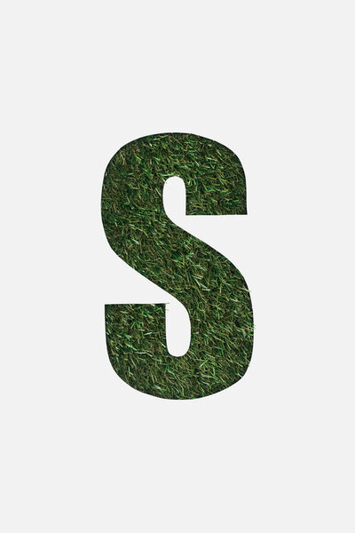 top view of cut out S letter on green grass background isolated on white