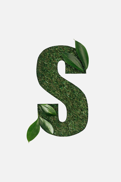 top view of cut out S letter on green grass background with leaves isolated on white