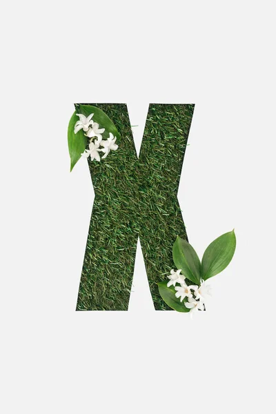 白で隔離の花と緑の草の背景に文字 をカットのトップ ビュー — ストック写真