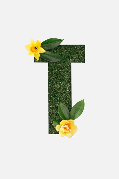 Top View Cut Out Letter Green Grass Background Leaves Yellow — Stock Photo, Image