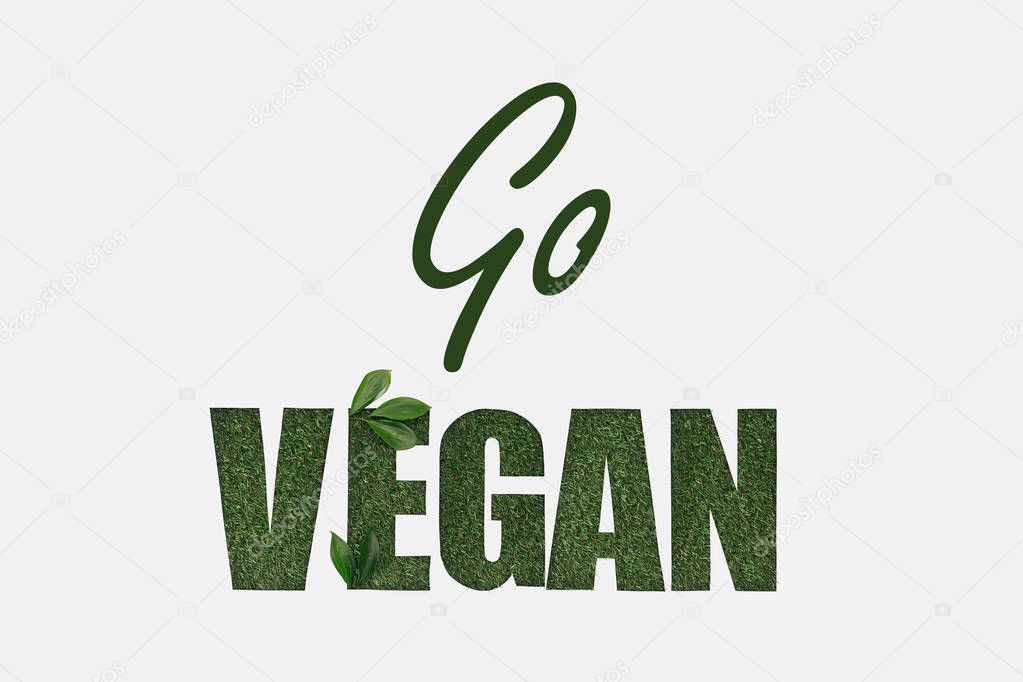 top view of green go vegan lettering with leaves isolated on white