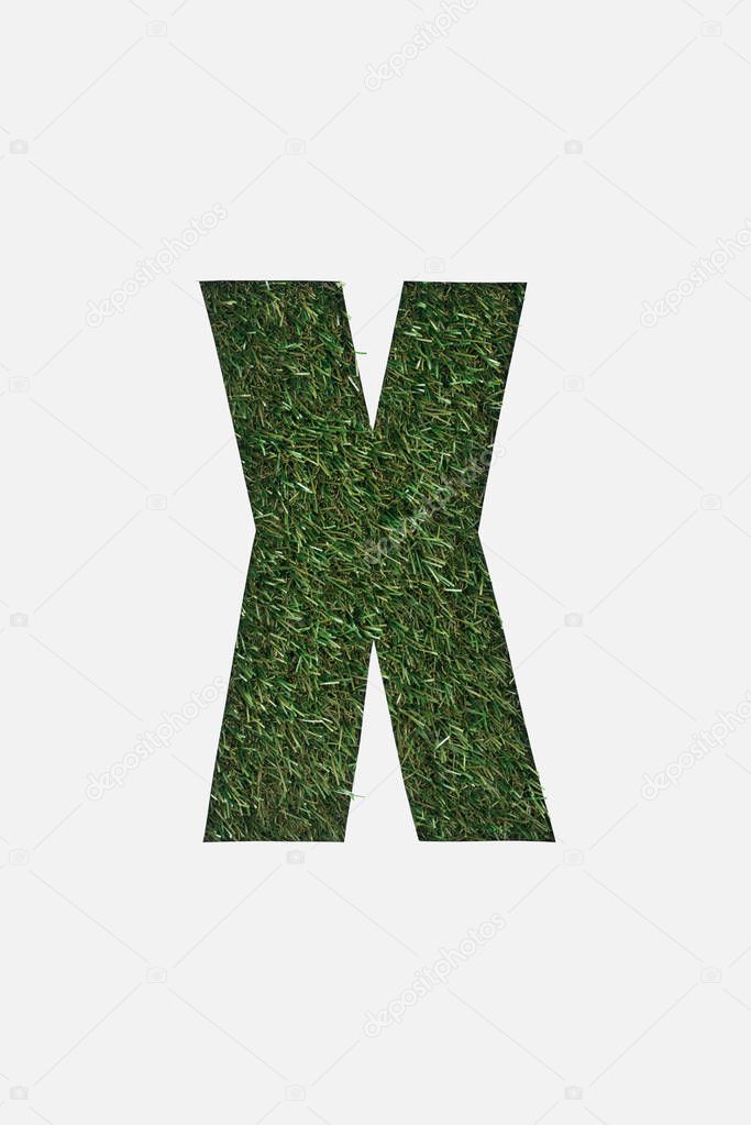 Top view of cut out X letter on green grass background isolated on white