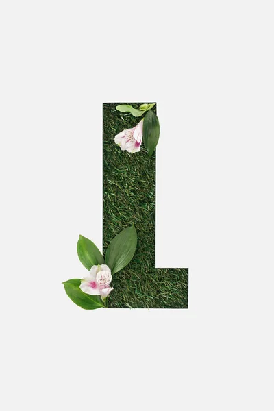 Top View Cut Out Letter Green Grass Background Leaves Alstromeria — Stock Photo, Image