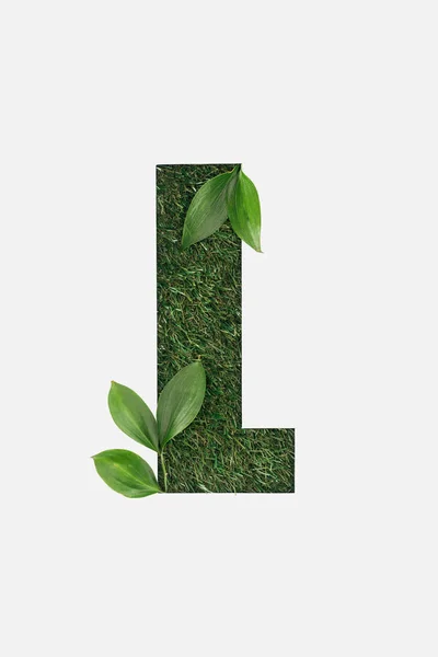 Top View Cut Out Letter Green Grass Background Leaves Isolated — Stok Foto