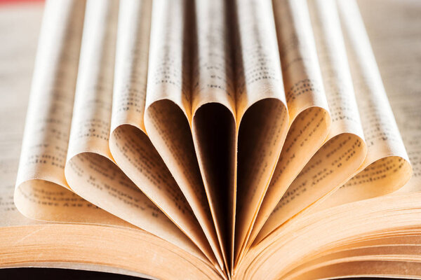 Selective focus of old book with folded pages