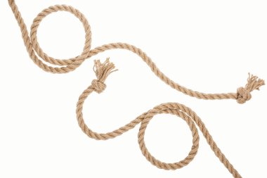 beyaz izole knot ile kahverengi kıvrılmış ipler 