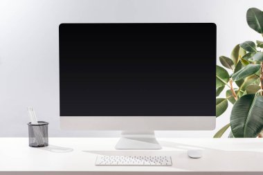 çalışma alanı ile bilgisayar ve Kırtasiye gri arka plan üzerinde yeşil bitki yakınındaki beyaz masada