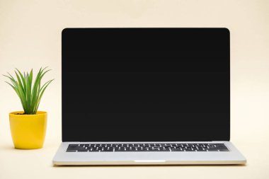 laptop ile boş bir ekran ve bej renkli arka plan üzerinde yeşil bitki