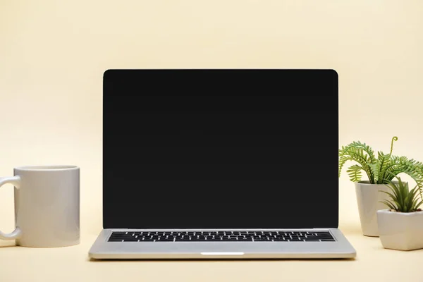 Laptop Val Üres Képernyő Kupa Zöld Növények Bézs Háttér — Stock Fotó