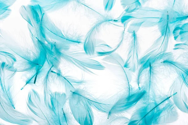 白で孤立した青色の軽量で柔らかい羽を持つシームレスな背景 — ストック写真