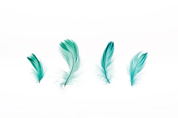 绿色轻盈的四根羽毛隔离在白色 — 图库照片