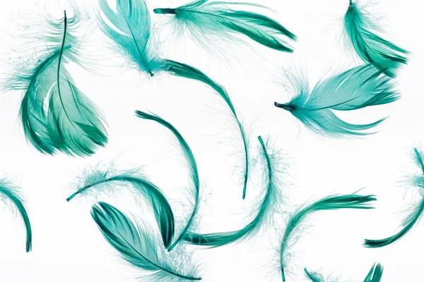 Seamless Background Green Feathers Isolated White — Stock Photo, Image