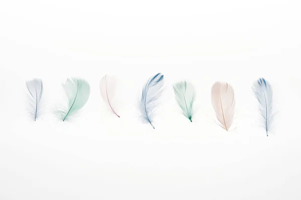 Multicolored Lightweight Feathers Isolated White — Stock Photo, Image