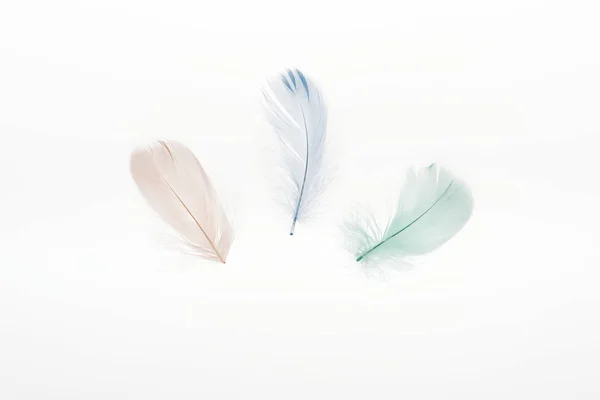 Πολύχρωμα Ελαφριά Μπεζ Πράσινα Και Μπλε Φτερά Απομονώνονται Λευκό — Φωτογραφία Αρχείου