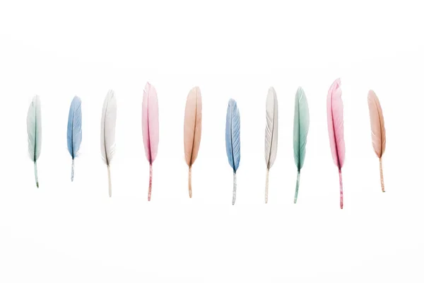 Row Multicolored Lightweight Feathers Isolated White — Stock Photo, Image