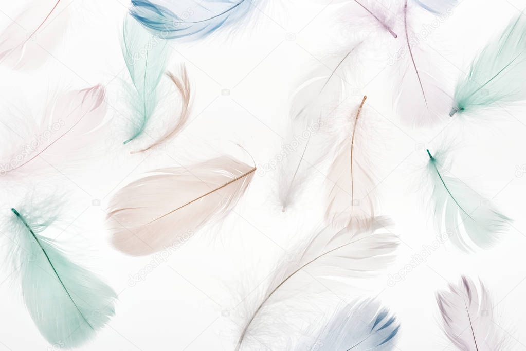 seamless background with soft light beige, green and blue feathers isolated on white