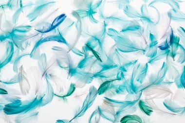 seamless background with multicolored lightweight feathers isolated on white clipart