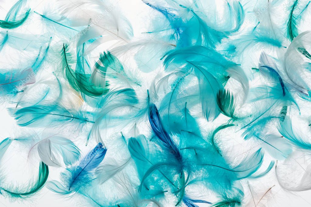 seamless background with green, grey and turquoise bright feathers isolated on white