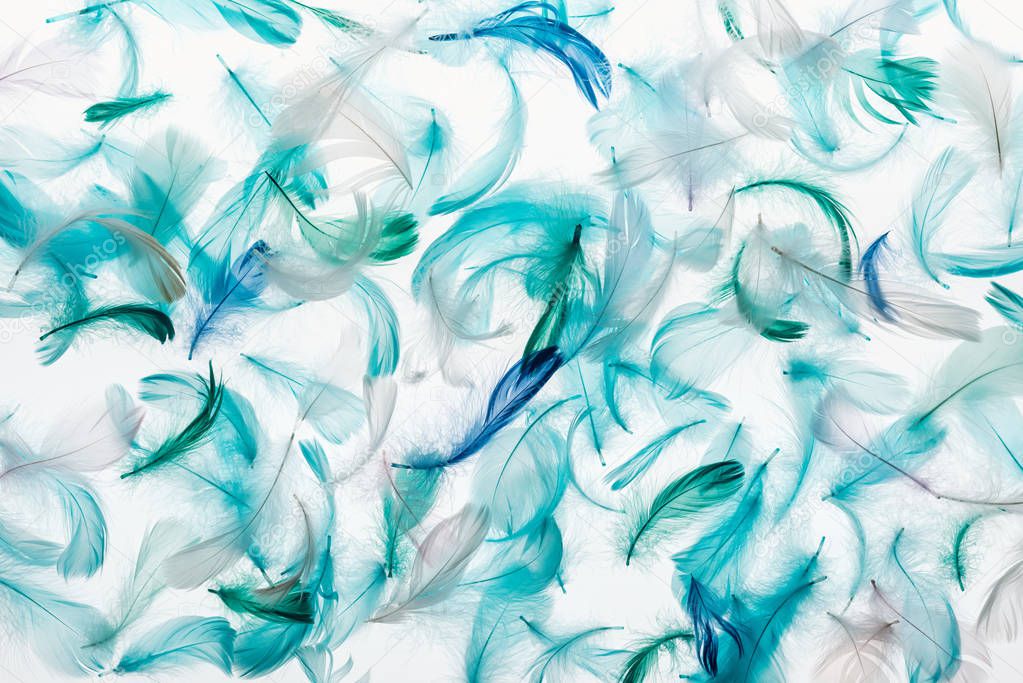 seamless background with green, grey and turquoise fluffy bright feathers isolated on white