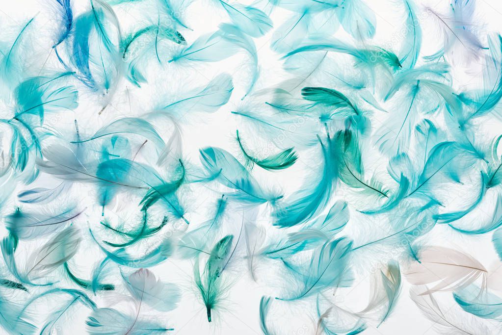 seamless background with green, grey and turquoise feathers isolated on white