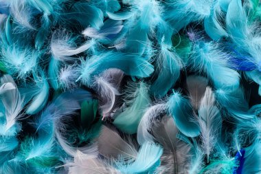 seamless background with bright feathers isolated on black clipart