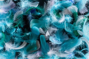 seamless background with bright blue, green and turquoise lightweight feathers isolated on black clipart