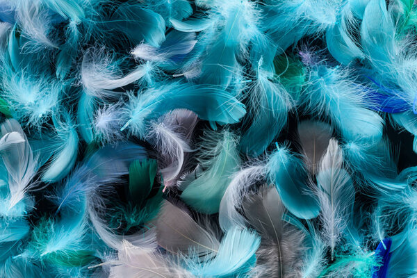 seamless background with bright feathers isolated on black