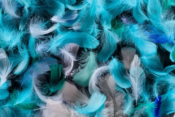 Seamless Background Blue Green Turquoise Soft Feathers Isolated Black — Stock Photo, Image
