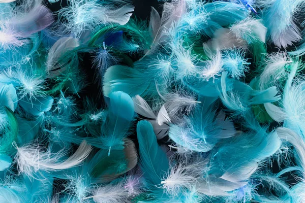 Fond Sans Couture Avec Des Plumes Légères Bleu Vif Vert — Photo