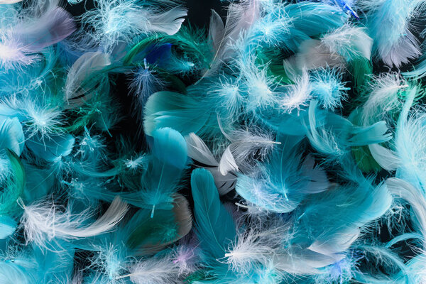 seamless background with bright blue, green and turquoise lightweight feathers isolated on black