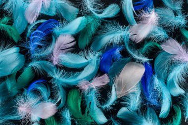 seamless background with blue, green and pink feathers isolated on black clipart