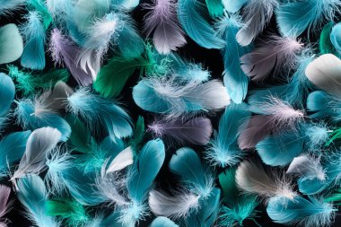 seamless background with multicolored lightweight feathers isolated on black clipart