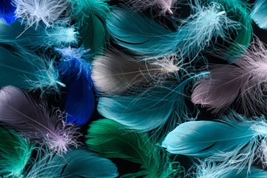 seamless background with multicolored feathers isolated on black clipart