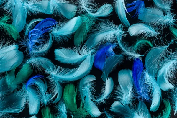 黒に分離された明るい青と緑の羽を持つシームレスな背景 — ストック写真